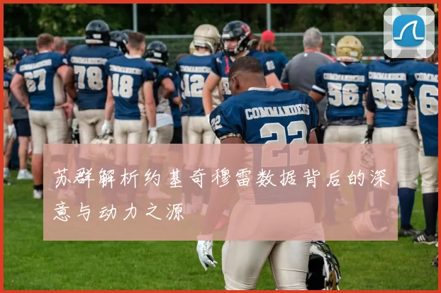 苏群解析约基奇穆雷数据背后的深意与动力之源